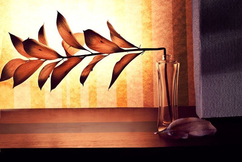 натюрморт когда линии згибаются - начинается новая история фото превью