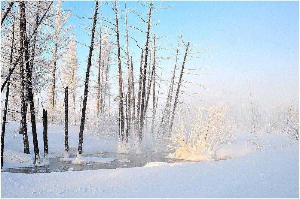 таймыр, Vladimir