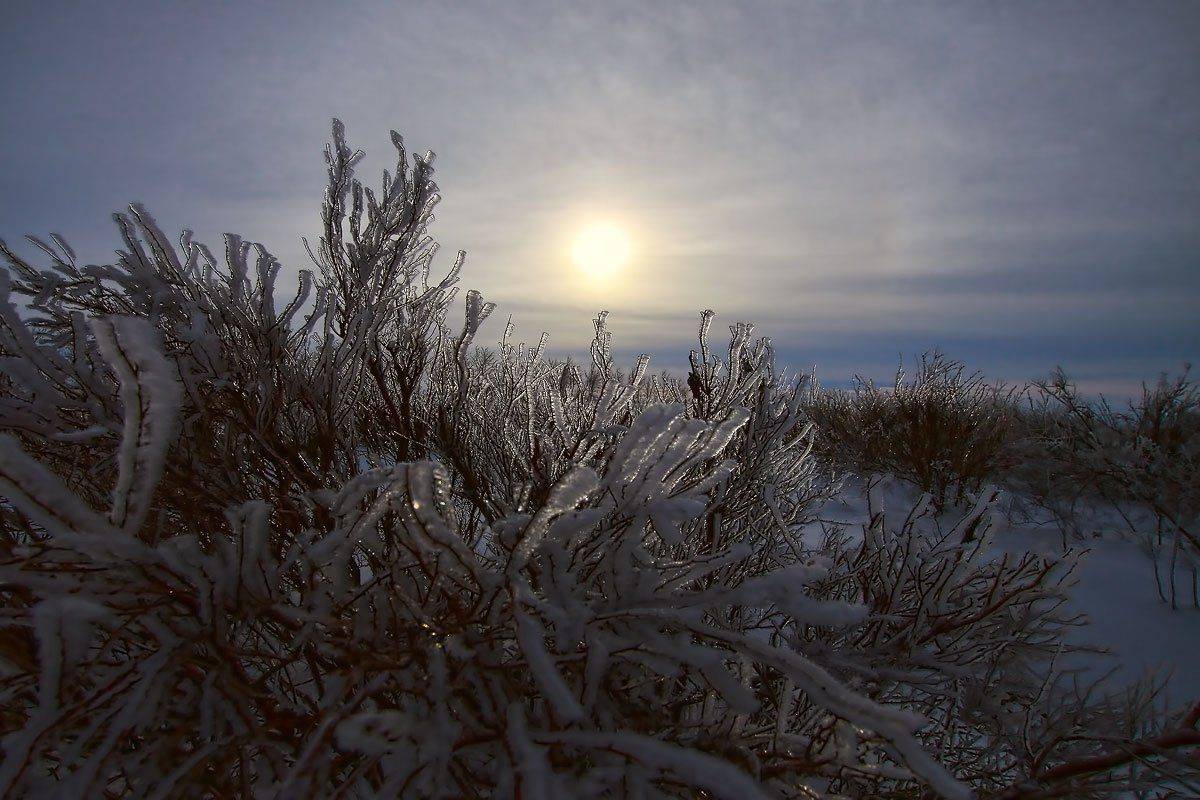 , Качурин Алексей