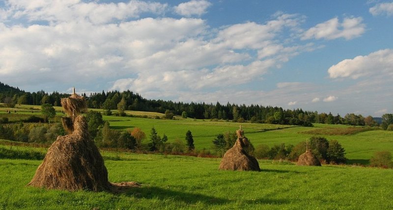 * фото превью