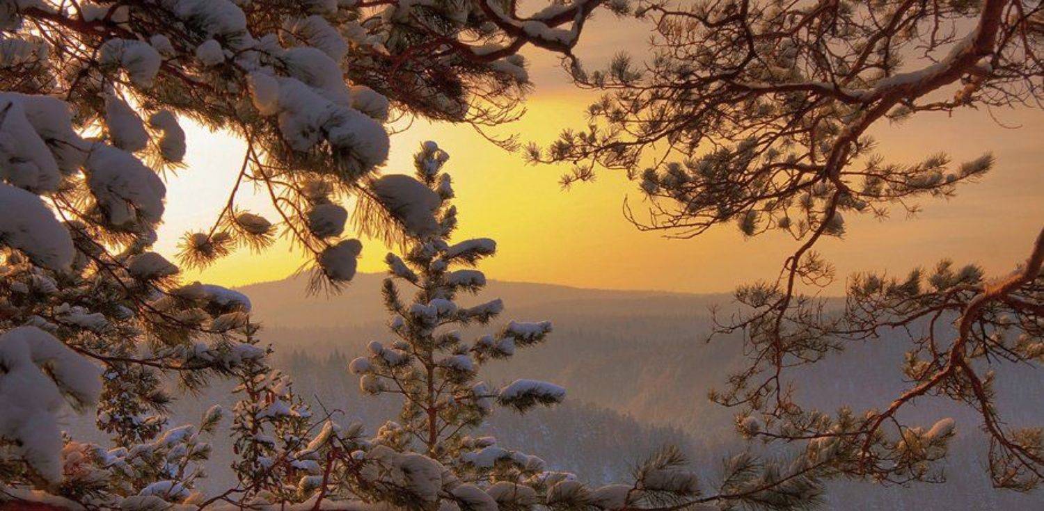 canon 40d, ef-s 17-85 mm f 4-5.6 is usm, Дмитрий Шмелёв