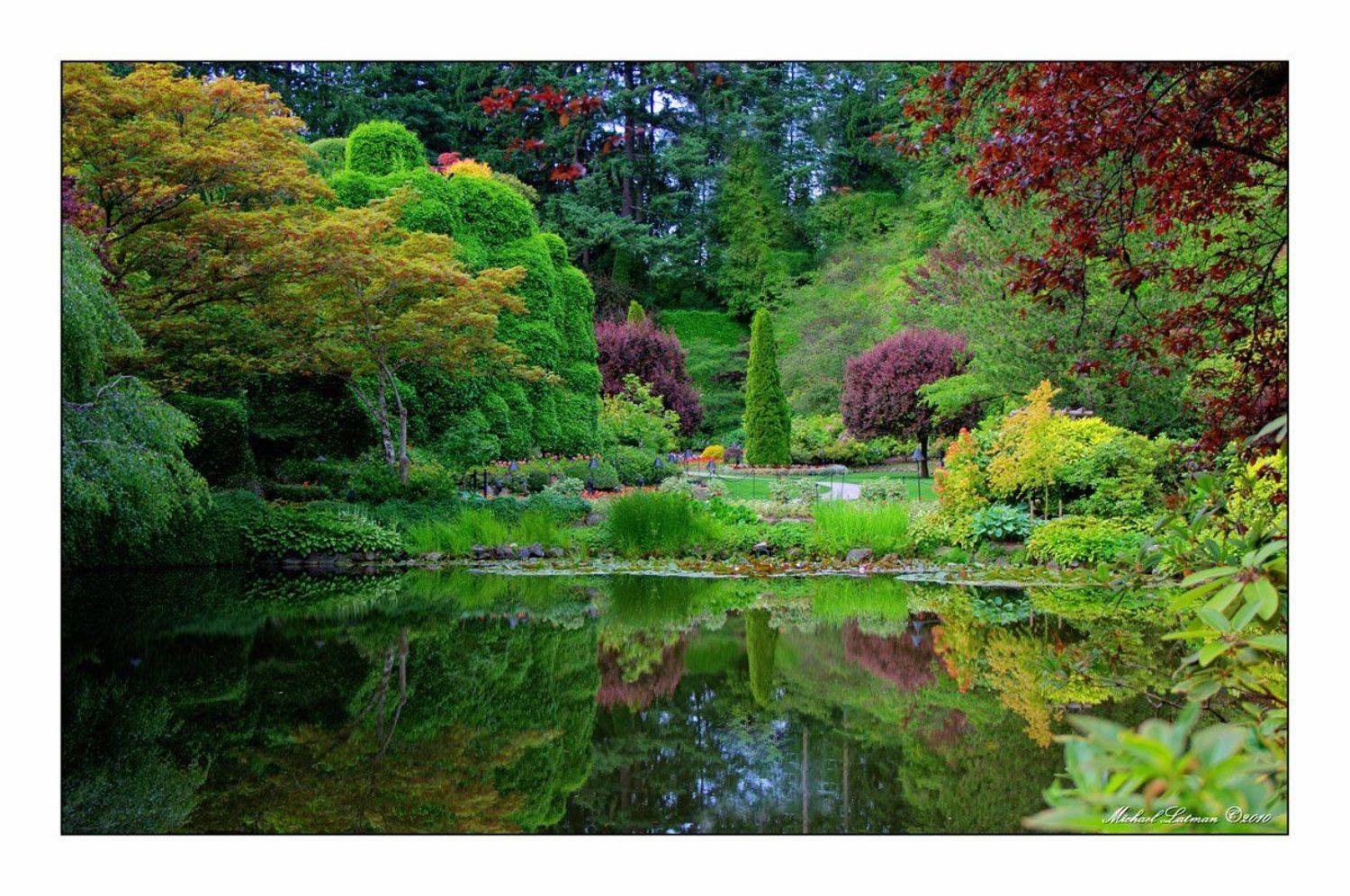 gardens, summer, Michael Latman