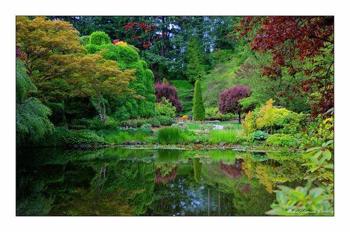 Affordable piece of Paradise