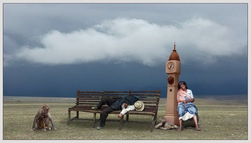 Совместное  сновидение фото превью