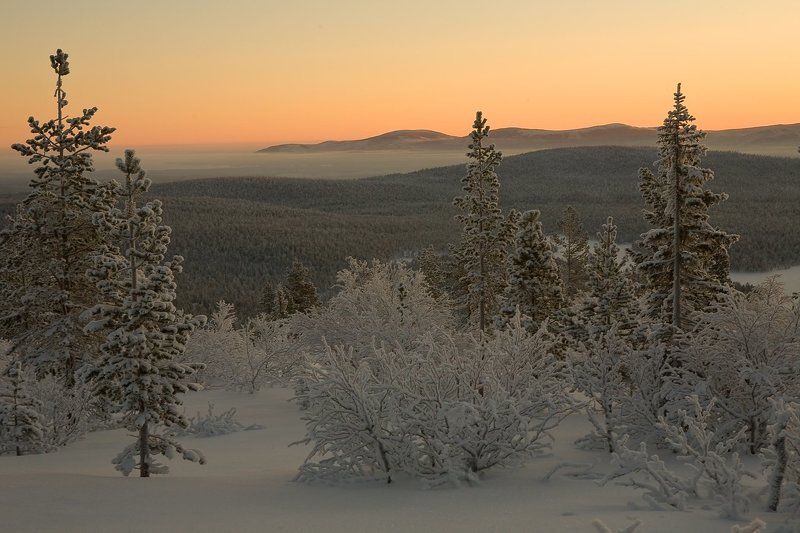 ёлки-тундры 2011, поход, на спуске с г.белая Дорогами севера фото превью