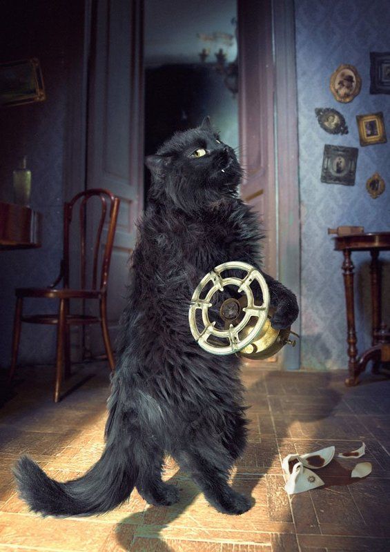 «Не шалю, никого не трогаю, починяю примус…» фото превью