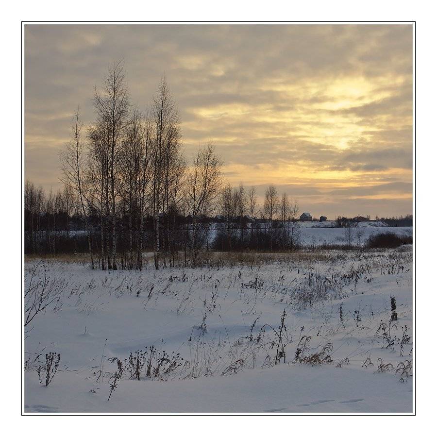 зима, пейзаж, снег, деревья, дома, трава, небо, Oleg Dmitriev