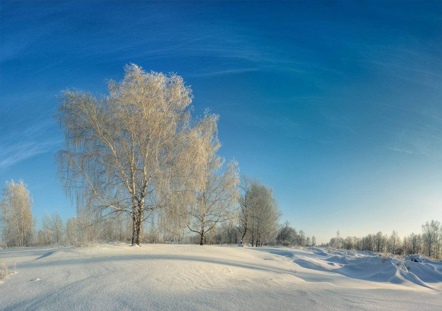 мороз, иней, зима, снег, Mishin Ilay
