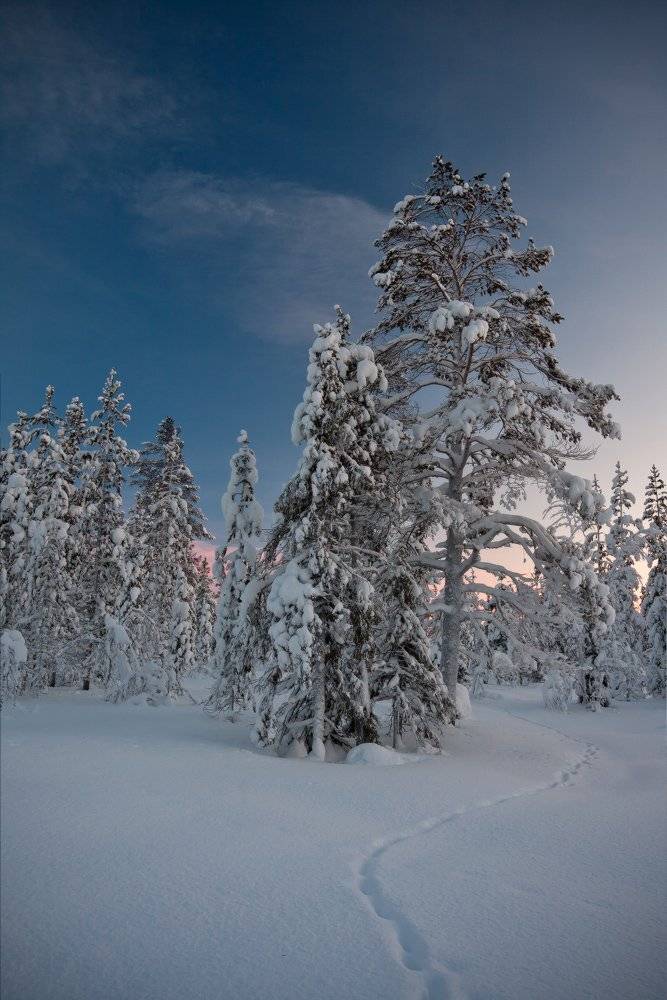 кольский, полуостров, зима, locus