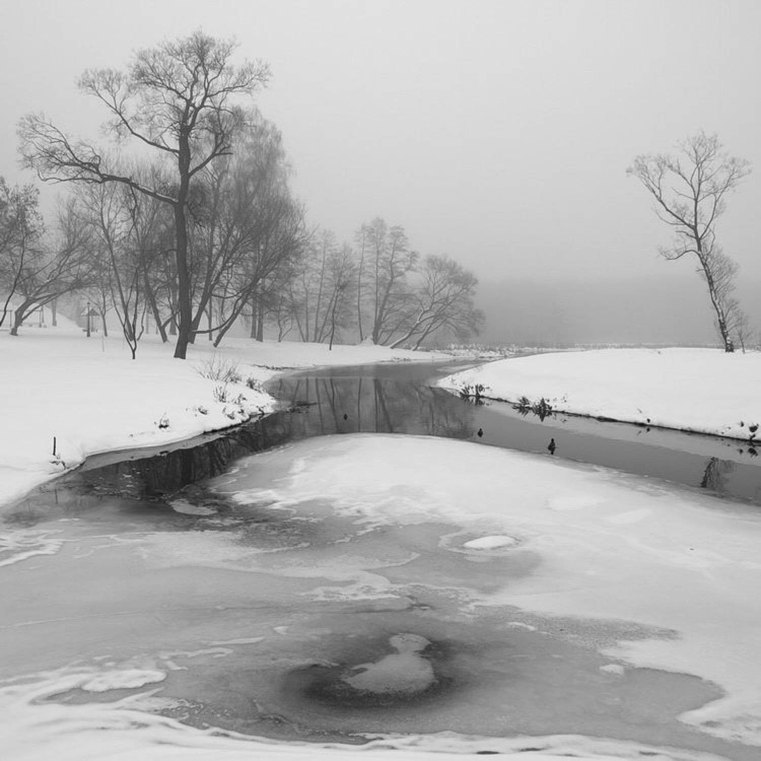 парк,декабрь,минск,лошица,зима,река,свислоч,, Vodyanickii Vladimir