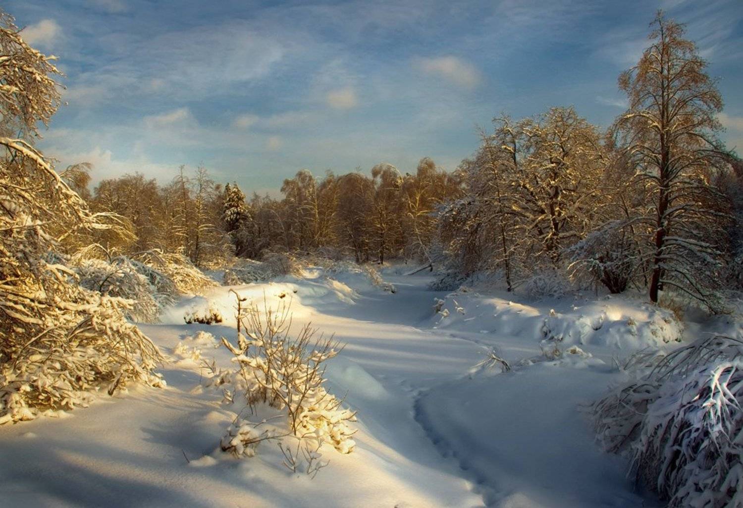 , Вячеслав Довыденко