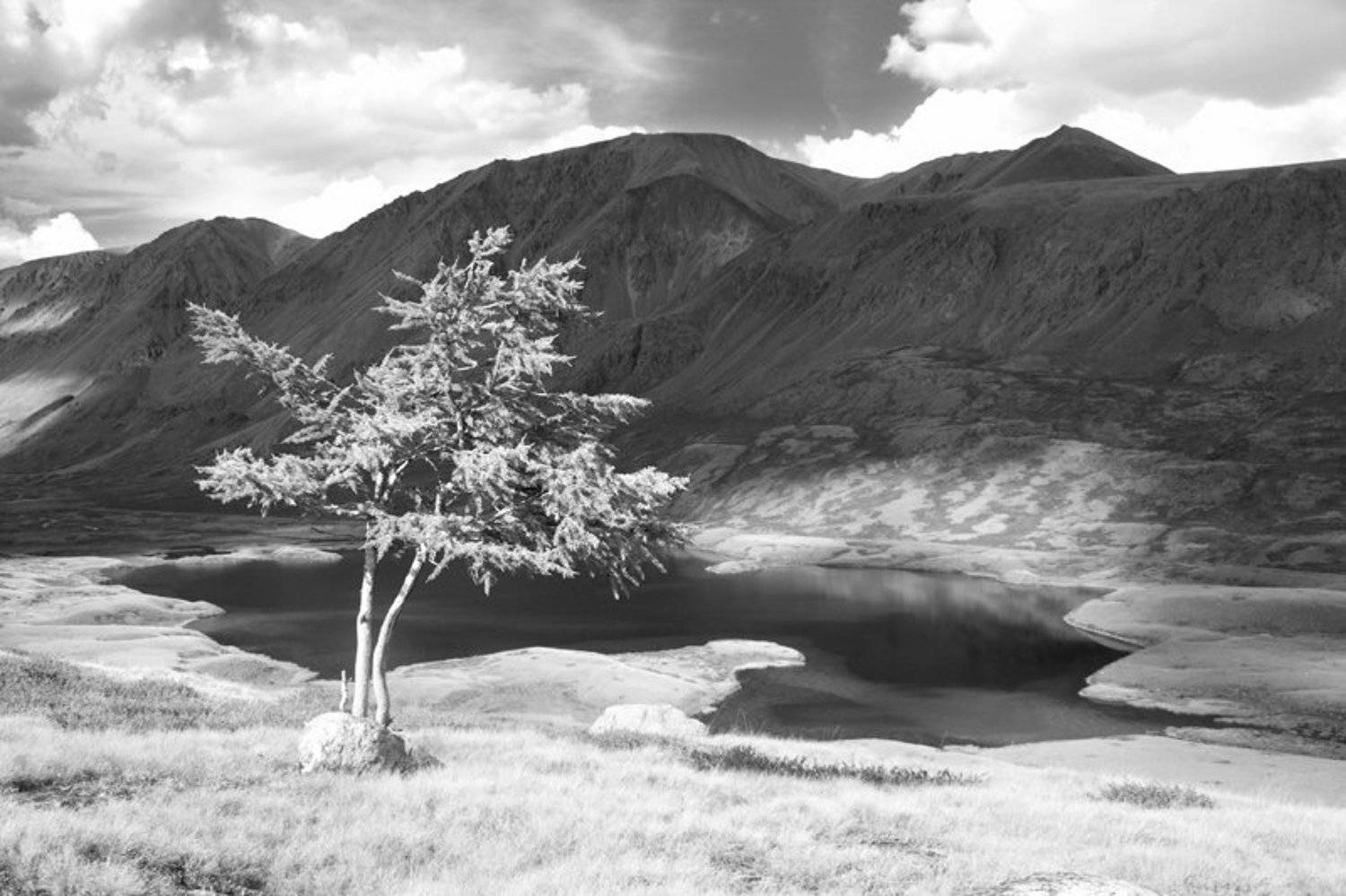 , Илья Долгов