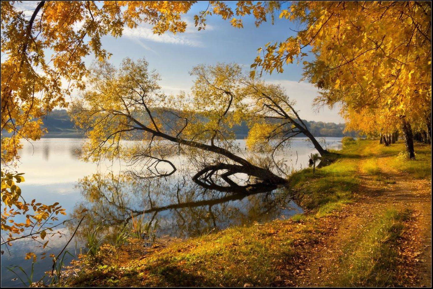 утро, осень, золотая, берег, люботин, харьковская, область, Александр Киценко