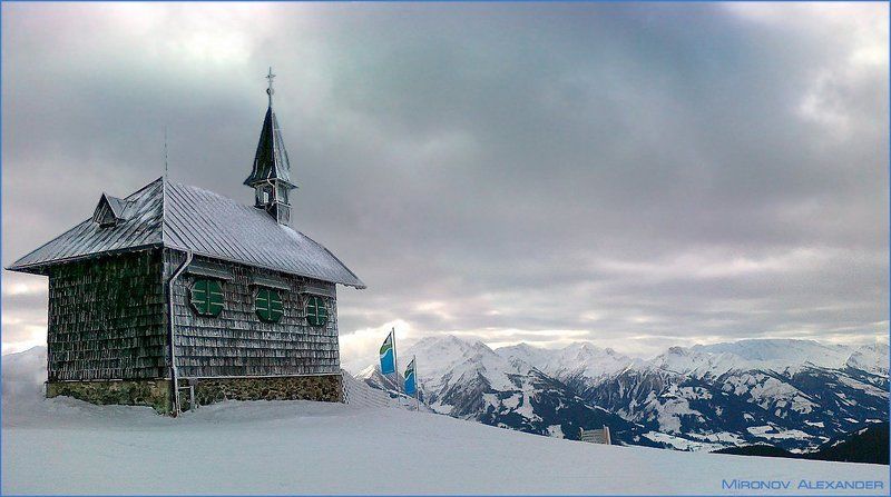 No Kangaroos in Austria фото превью