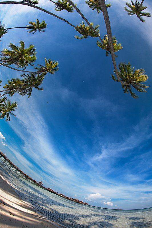 , Оксана Музыка