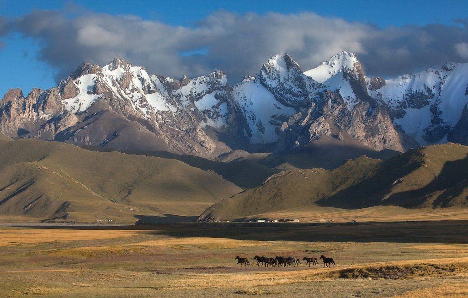 фотосафари, центральная азия, Constantine Kikvidze