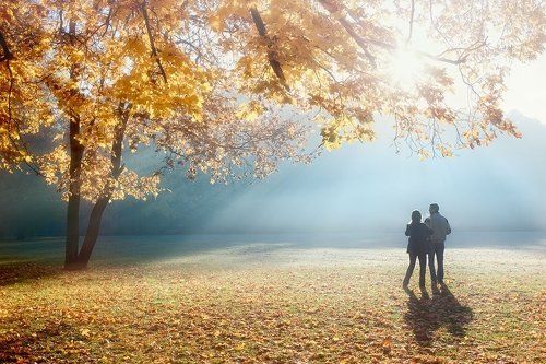 На ковре из жёлтых листьев