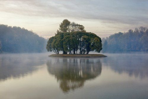 Solitude