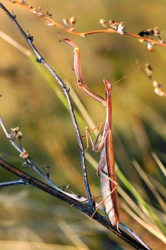 Ну ещё чуток лета... фото превью