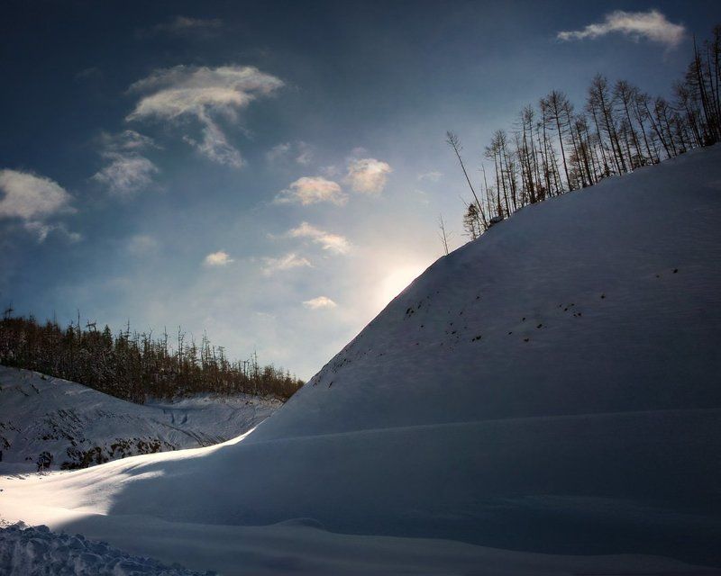 за Солнцем вслед фото превью