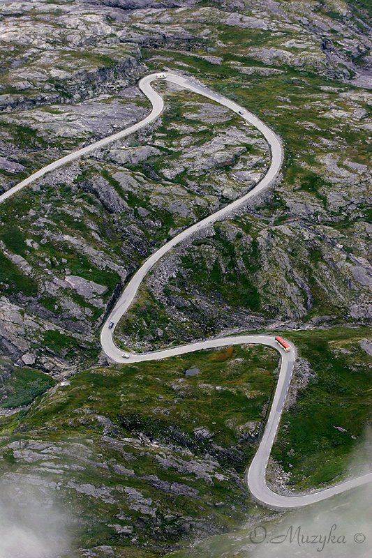 , Оксана Музыка