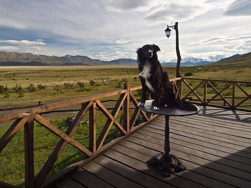 долина, пейзаж Свобода? фото превью