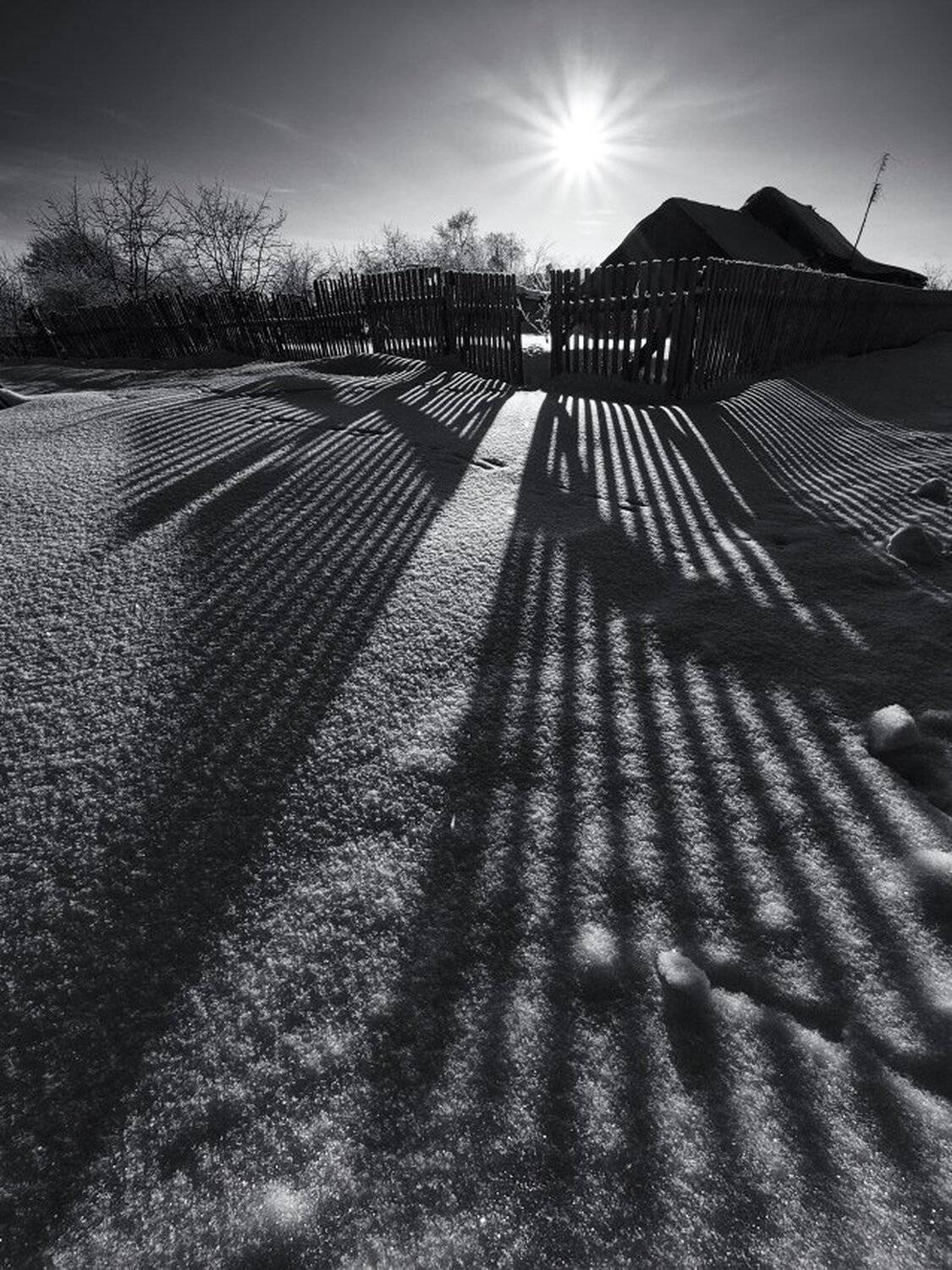 , Максим Евдокимов