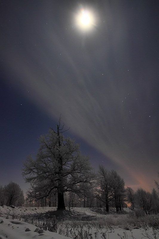 Лунная вуаль фото превью
