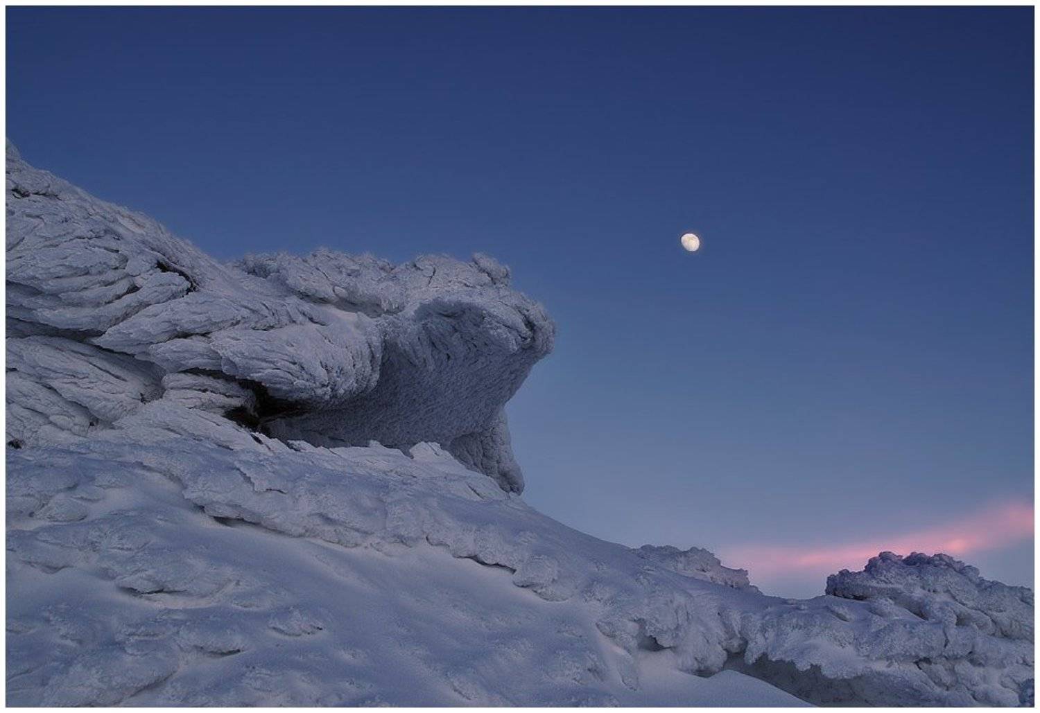 , Денис Кривой