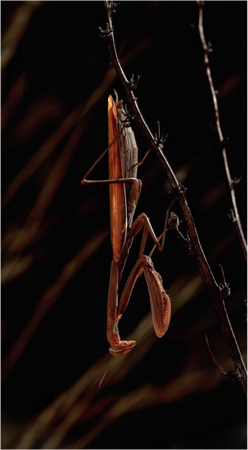 , Курочкин Валерий