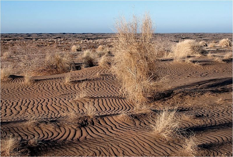 природа В ожидании... фото превью