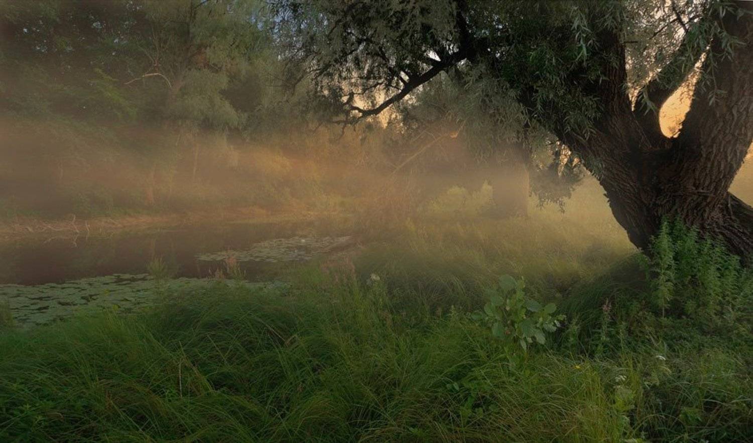 canon 40d, ef-s 17-85 mm f 4-5.6 is usm, Дмитрий Шмелёв