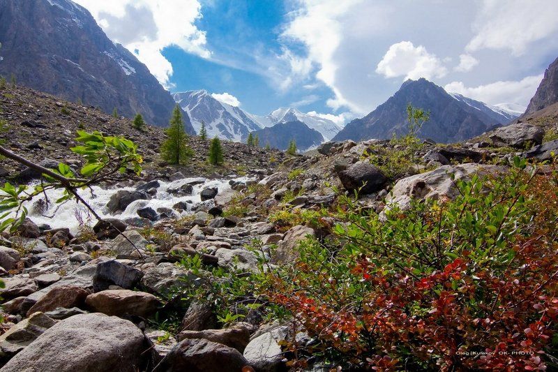 ущелье актру,горный алтай,горы В ущелье Актру.** фото превью