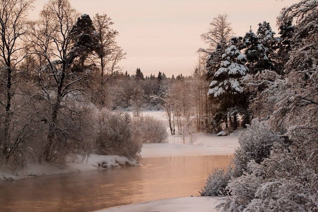 , Бурлов Андрей