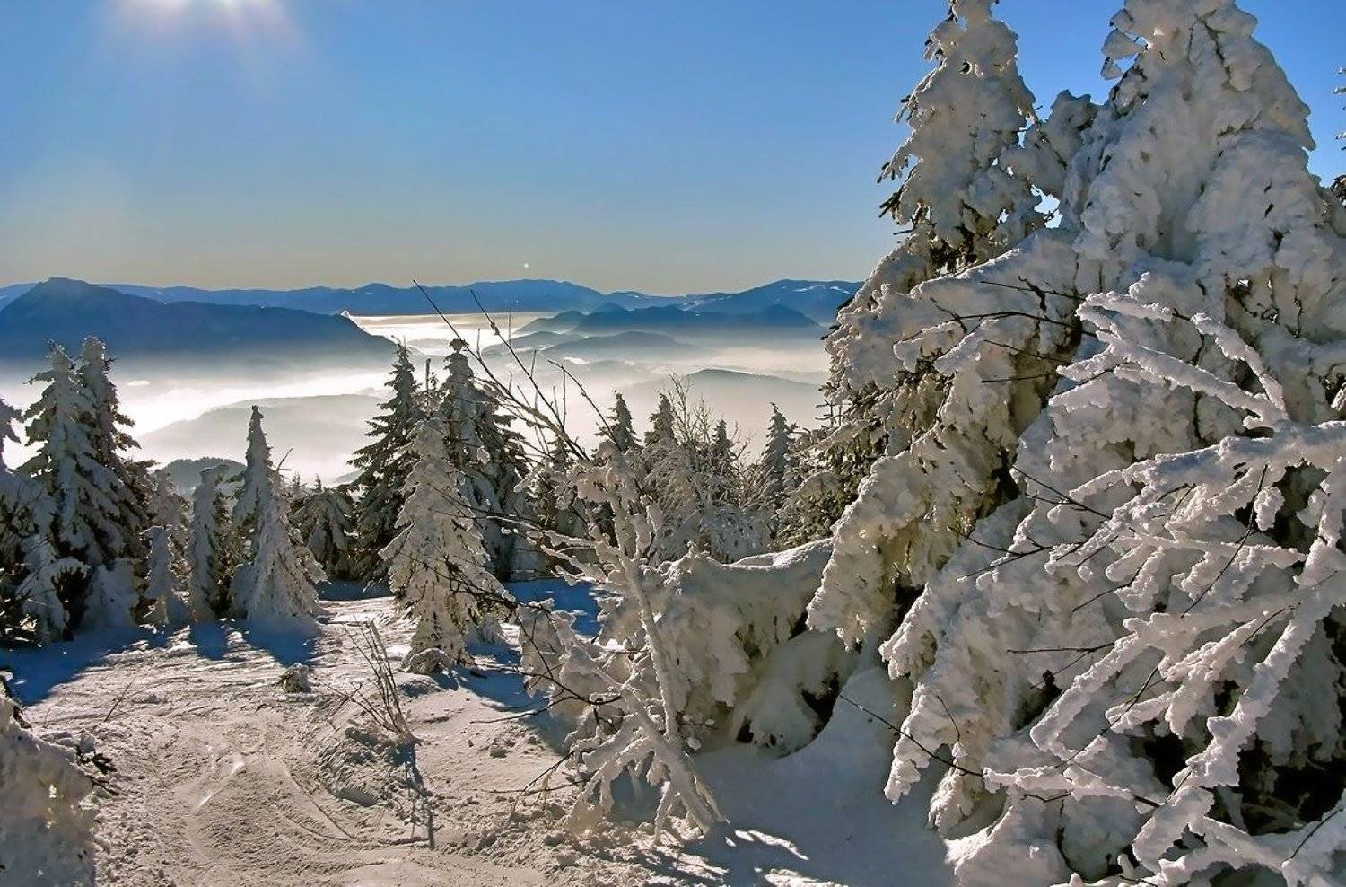 , Vasylevskyy Vitaliy