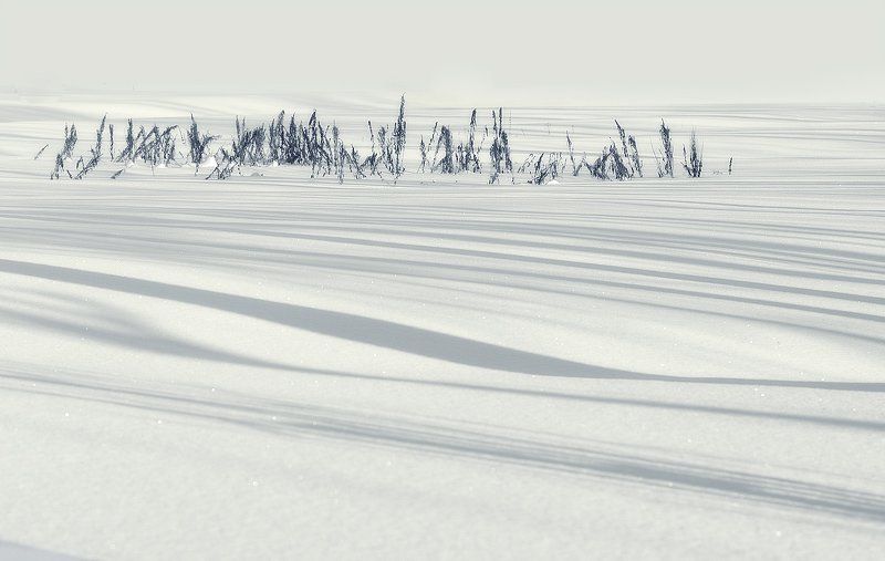 зима Зимняя, медитативная фото превью