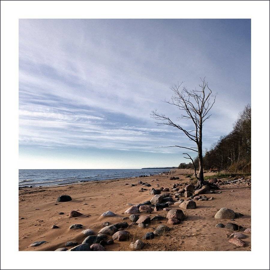 латвия, туя, Лариса Гурьева