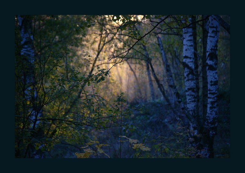 ~ фото превью