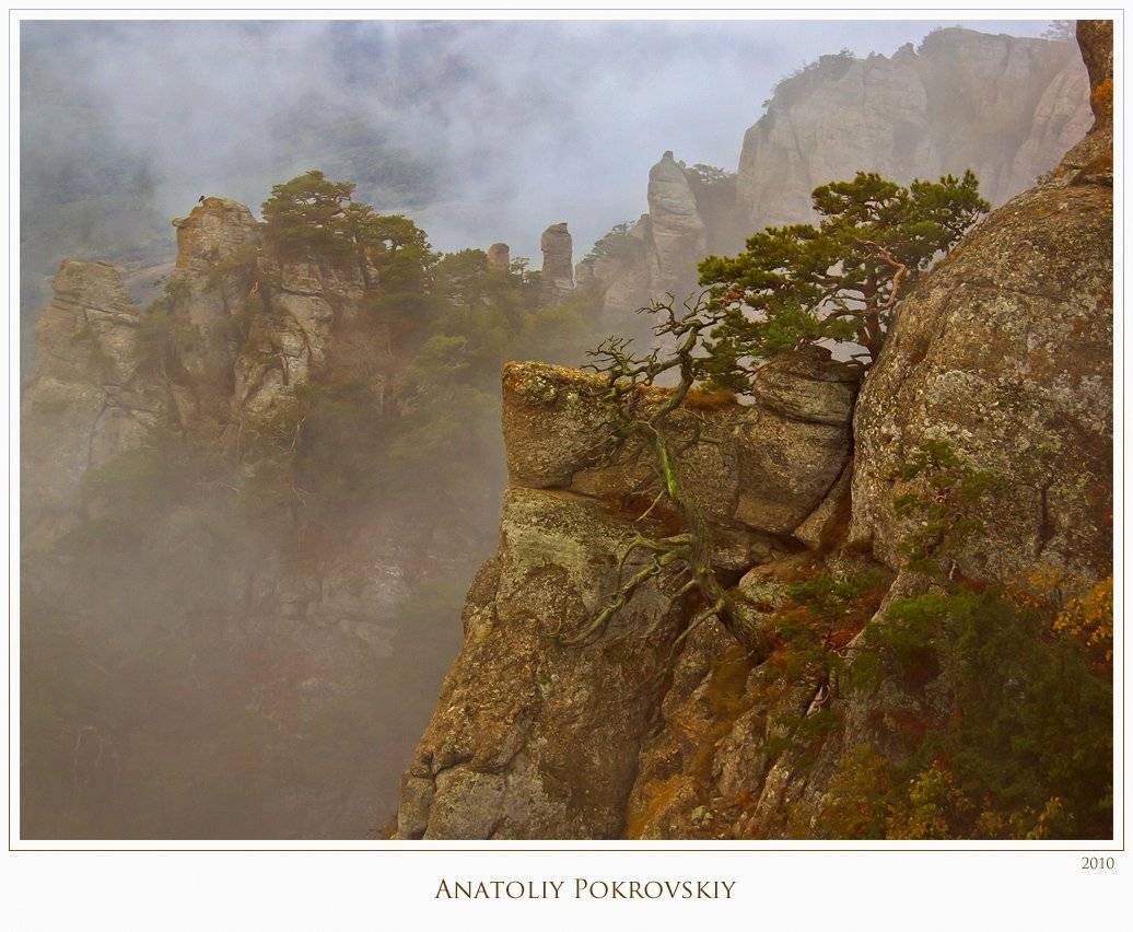 южная демерджи, горы, скалы, облака, ворон, анатолий покровский, Анатолий Покровский