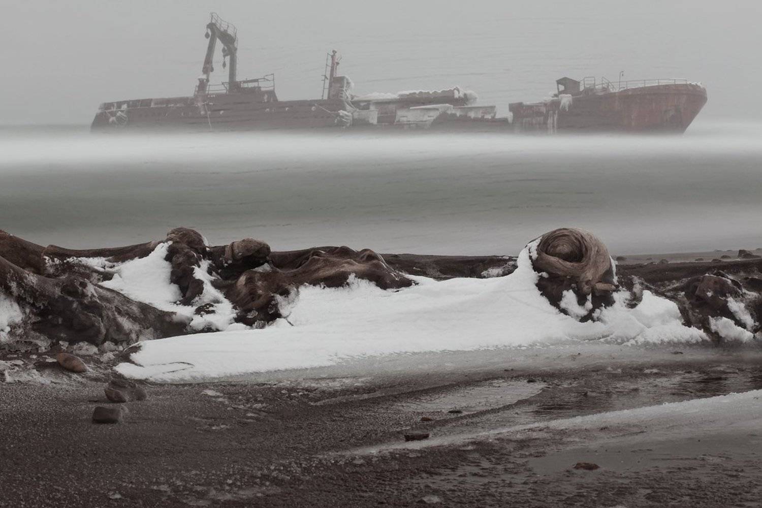 , Андрей Серенков