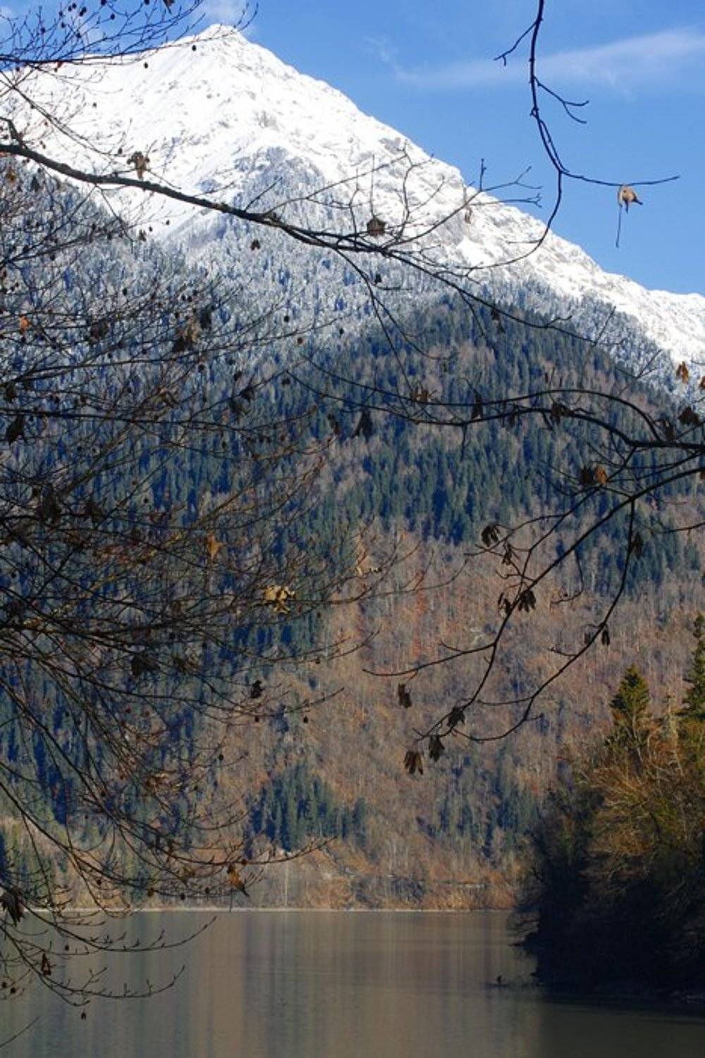 , Татьяна Алешина