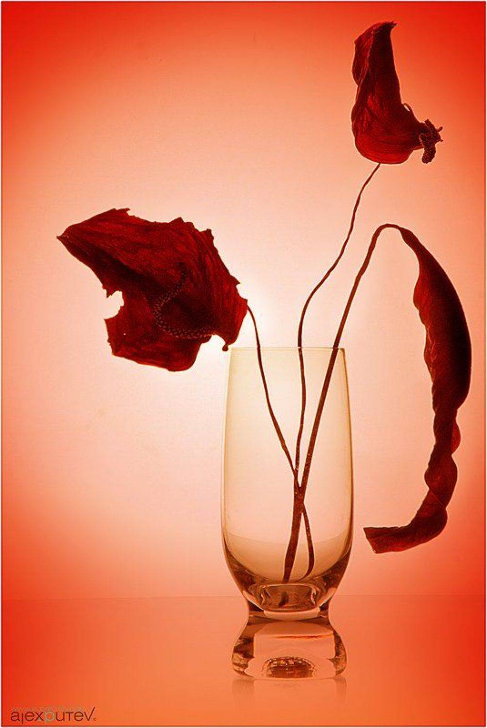 натюрморт,стекло, Александр Путев