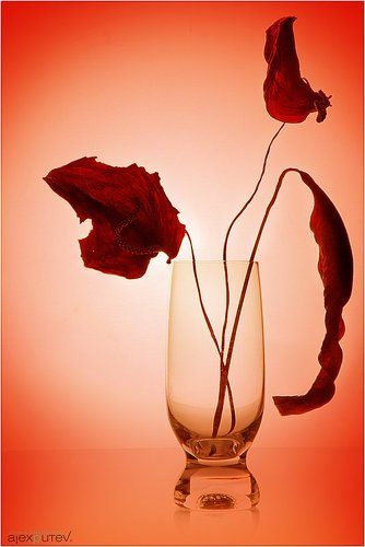 Этюд для Иринушки