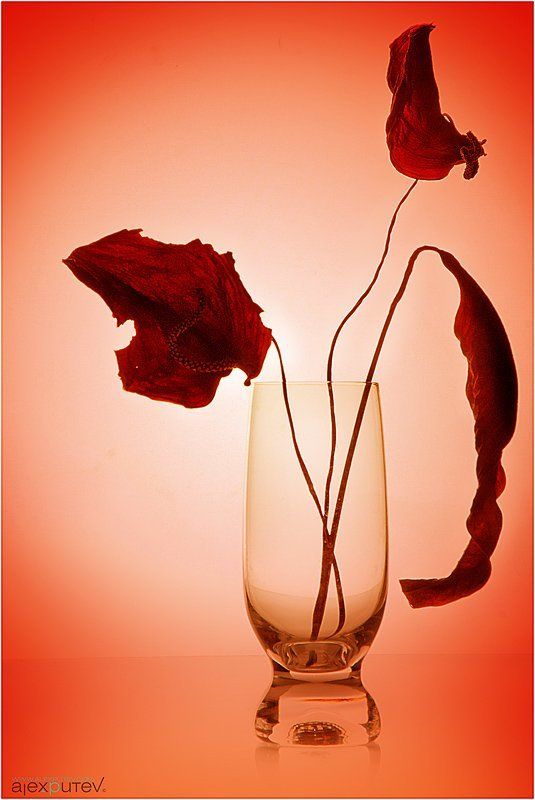 Этюд для Иринушки фото превью