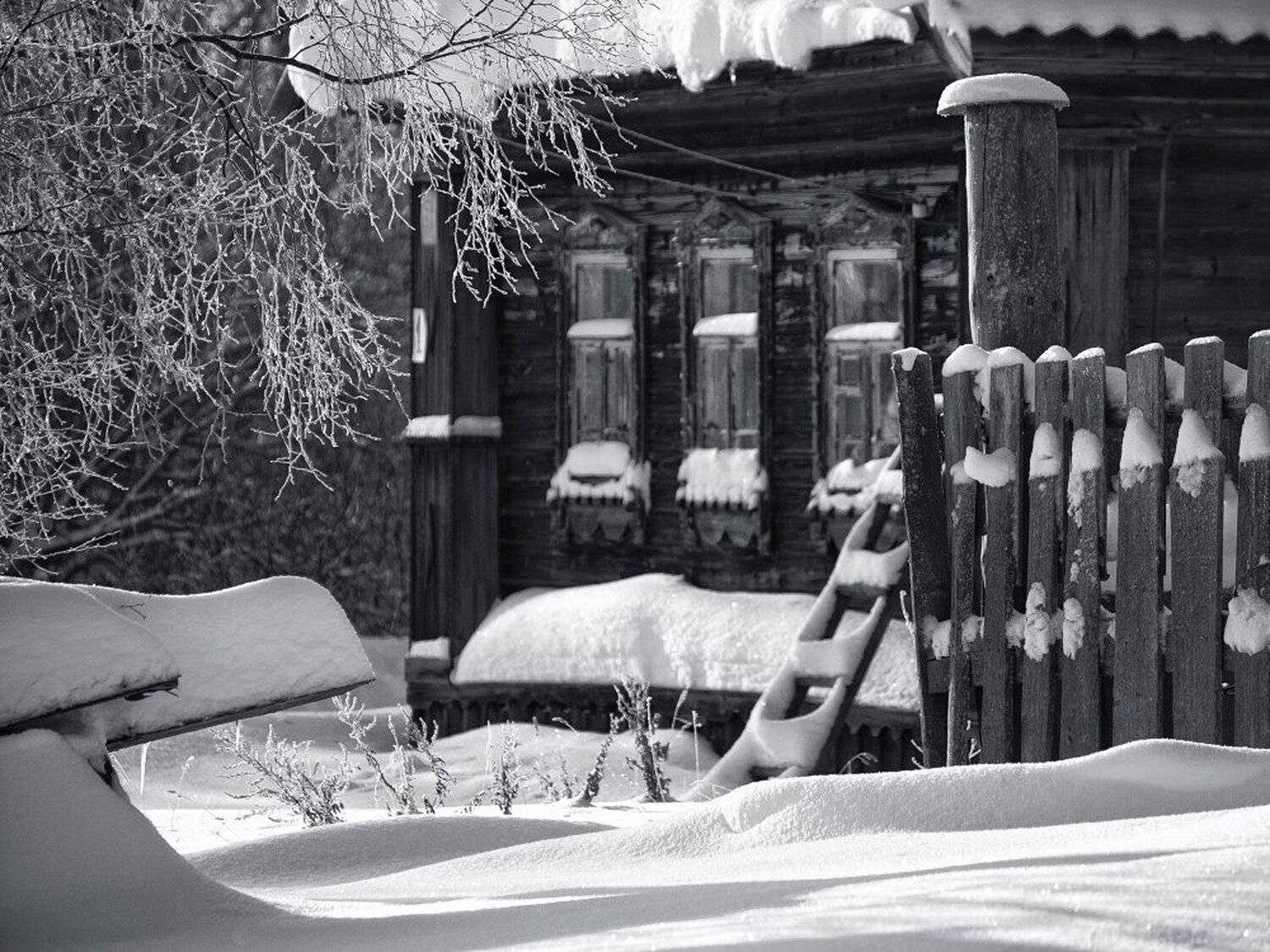 , Максим Евдокимов