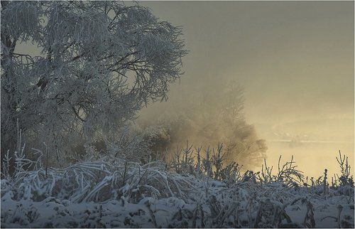 зимнее кружево