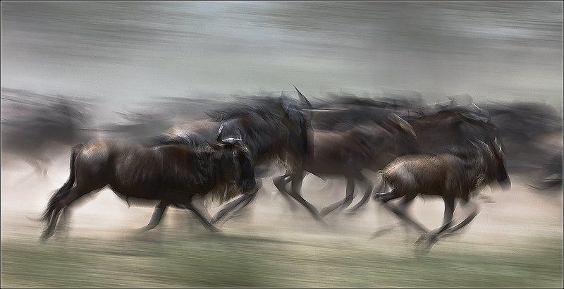 Этюд № 23 фото превью