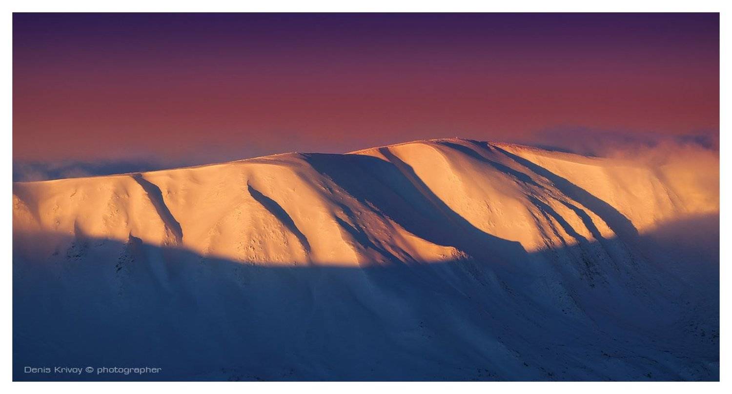 , Денис Кривой