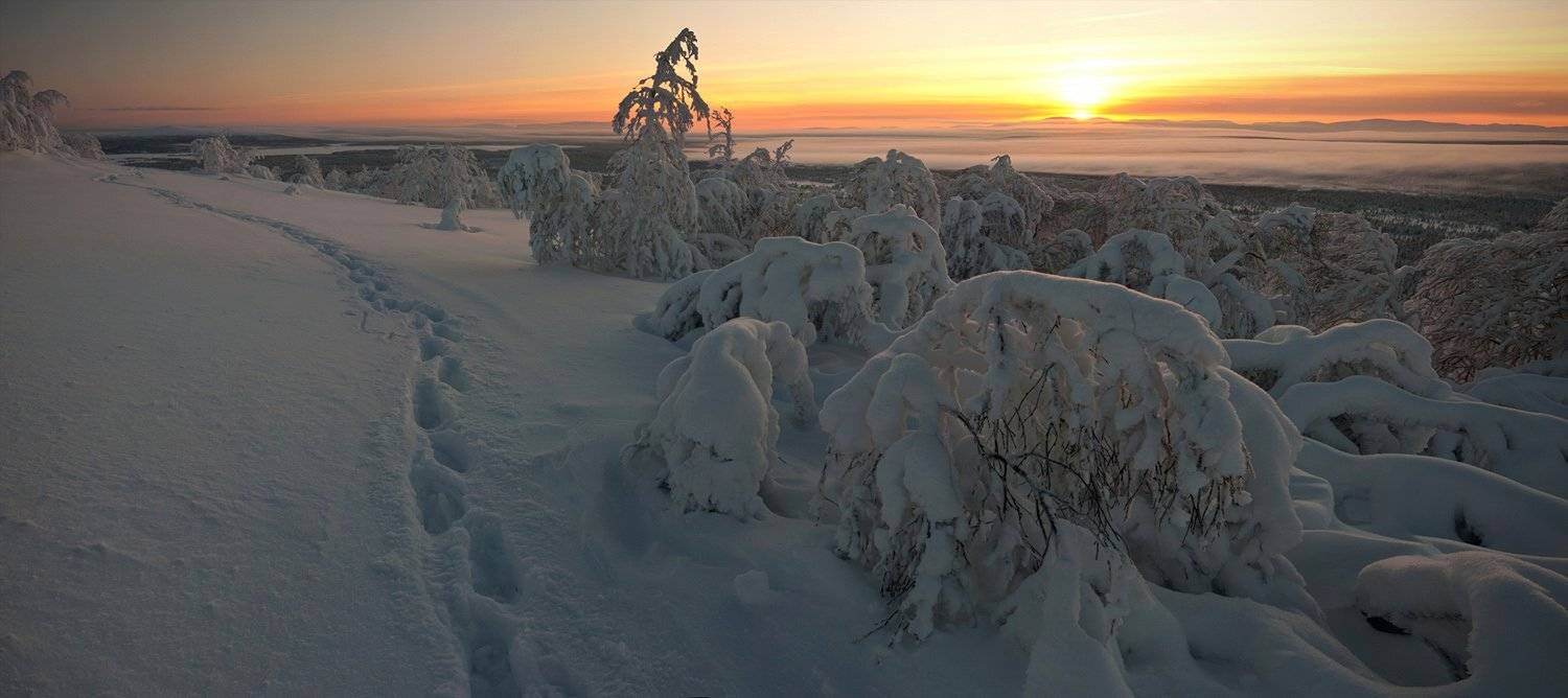 кольский, полуостров, зима, locus