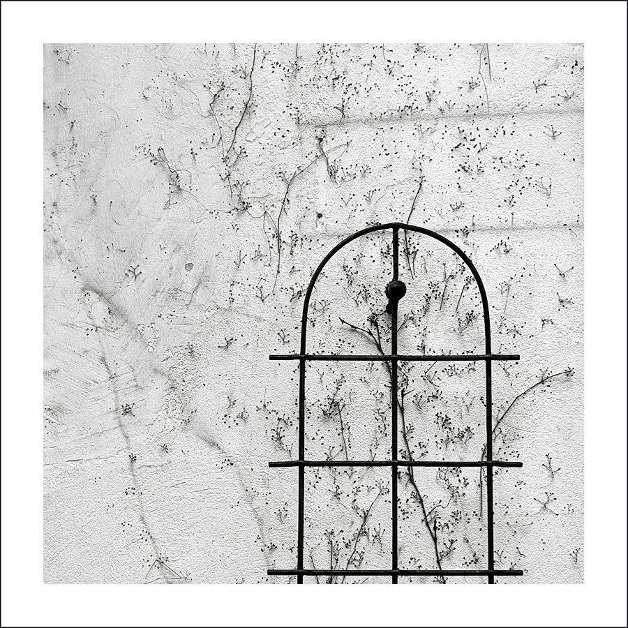 латвия, рига, Лариса Гурьева